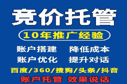 顶级SEM运营公司案例分析